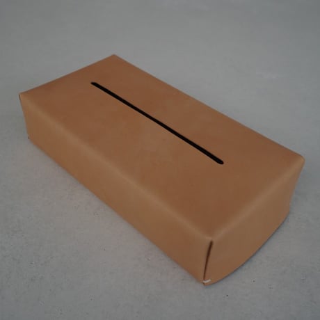 Tissue case