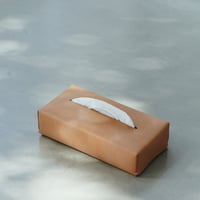 Tissue case