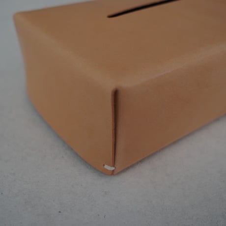 Tissue case