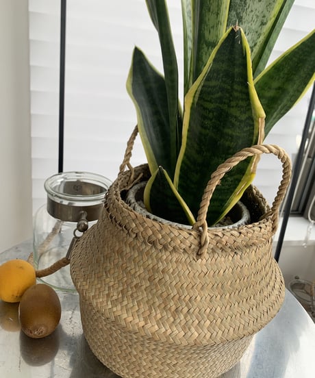 Seagrass Chillax Belly Basket ※チャームプレゼント