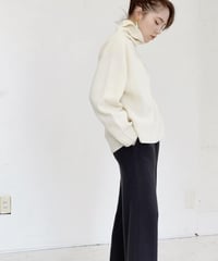 Wholegarment Slit High Neck Top