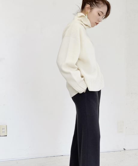 Wholegarment Slit High Neck Top
