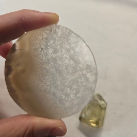 揺るぎなく目標へ進んでいく。プレートセット