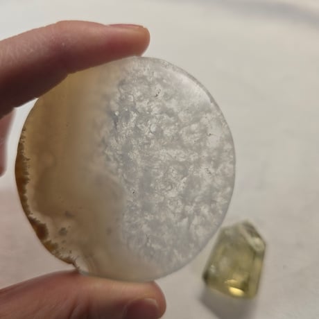 揺るぎなく目標へ進んでいく。プレートセット