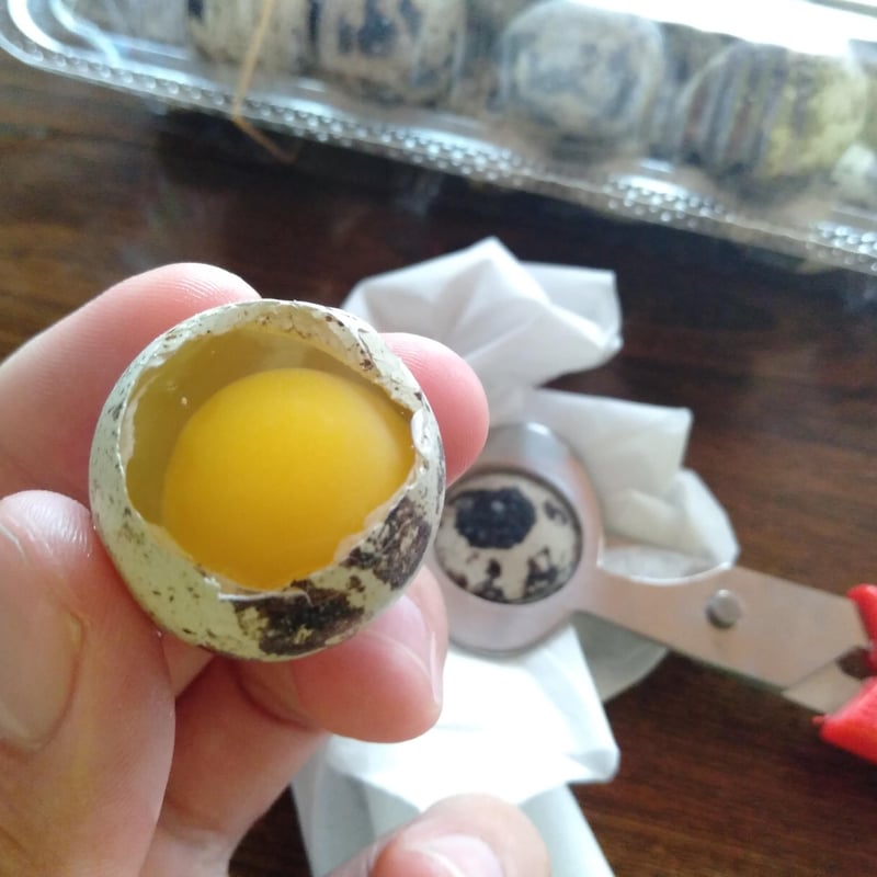 うずらカッター（単品） | STORE - GroundMole