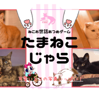 猫カフェカードゲーム・たまねこじゃら