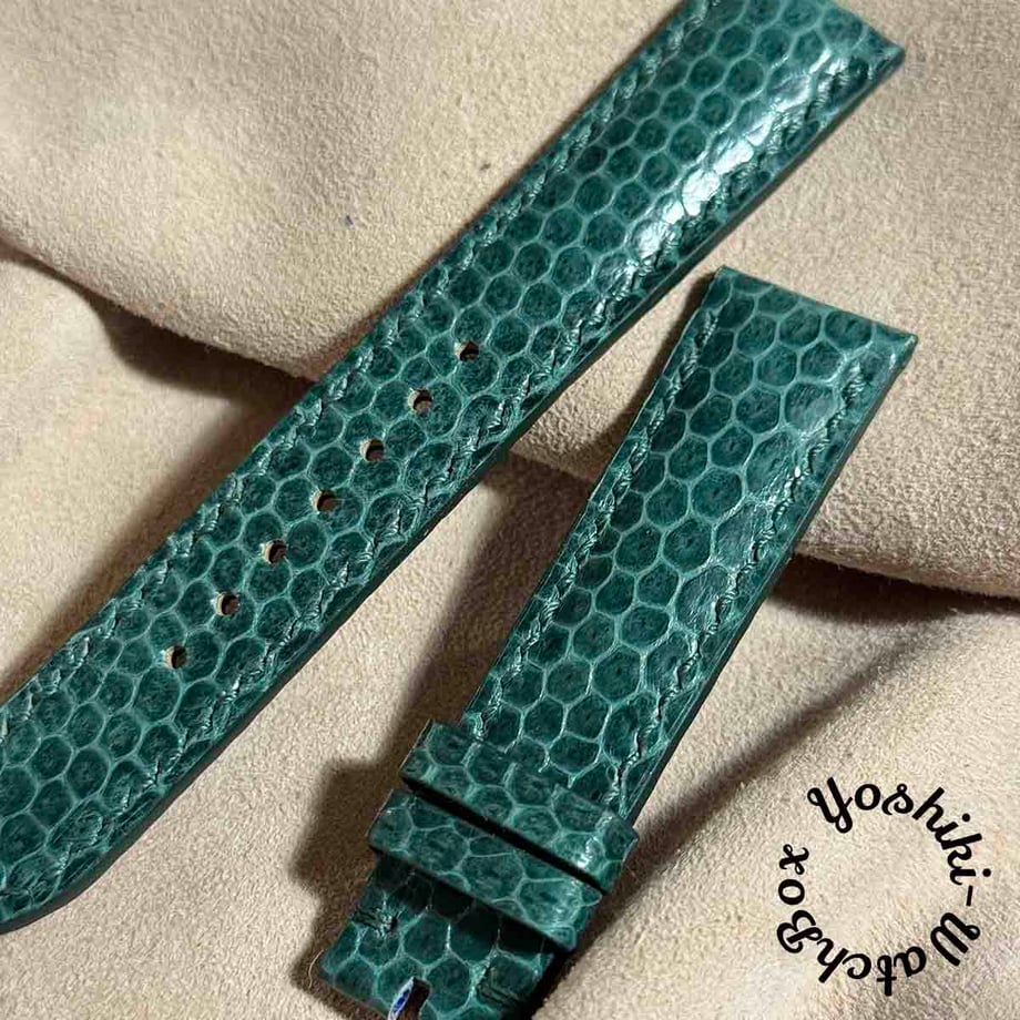 66b2cad3cbce52002a0adaef