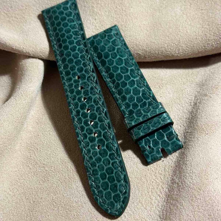 66b2cad3cbce52002a0adaef