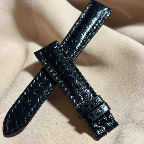 sna-89 シースネイク（ウミヘビ）腕時計ベルト ブラック (ラグ幅19 mm - バックル幅16 mm)