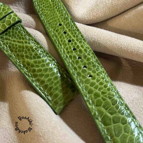 CATEGORY オーストリッチ | Yoshiki - WatchBox