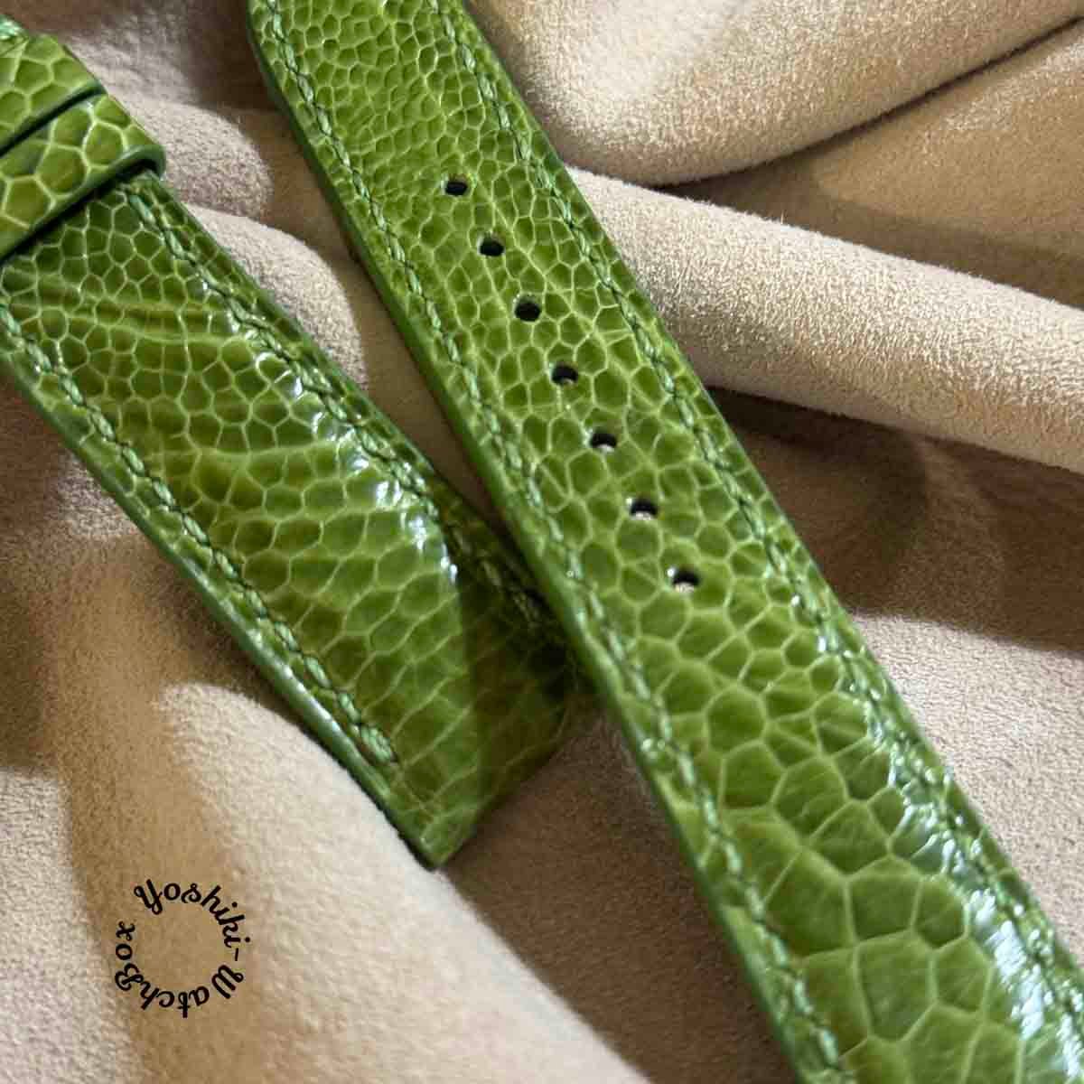 ost-436 オーストリッチ 腕時計ベルト グリーン ラグ幅19mm ost-436 オーストリッチ 腕時計ベルト グリーン ラグ幅19mm