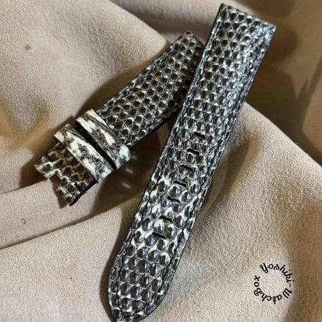 CATEGORY リザード 22mm | Yoshiki - WatchBox