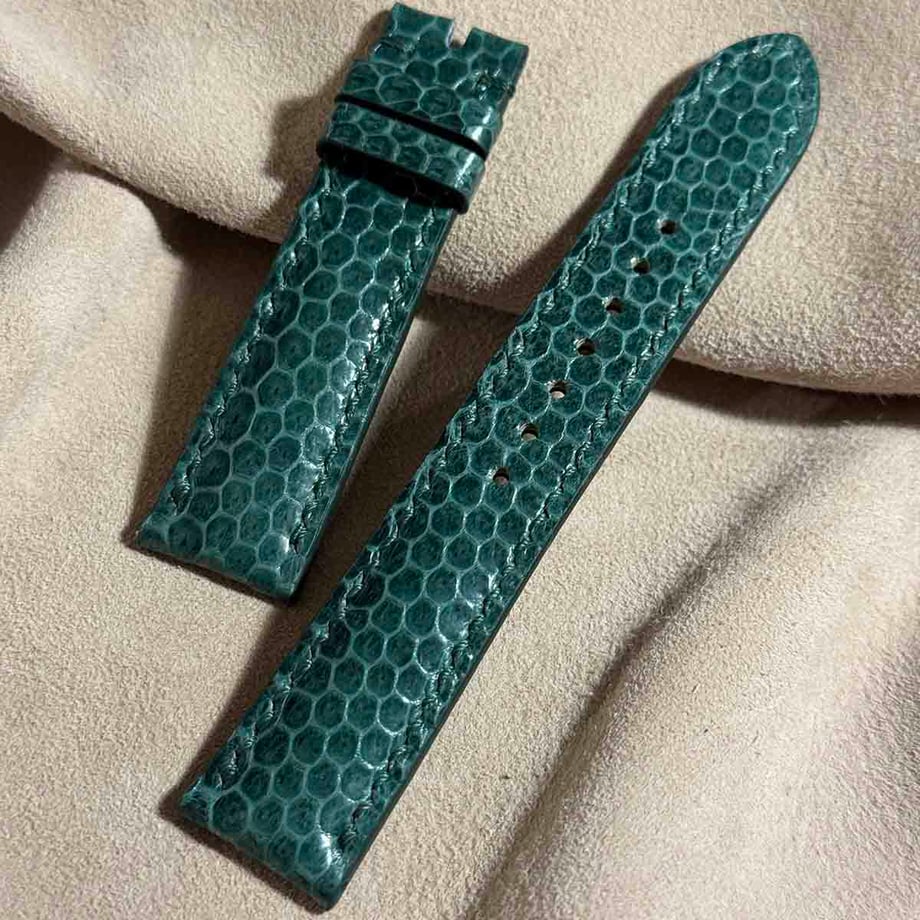 66b2cad3cbce52002a0adaef