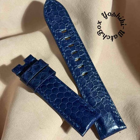 CATEGORY シースネイク（ウミヘビ） | Yoshiki - WatchBox