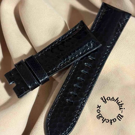 CATEGORY シースネイク（ウミヘビ） | Yoshiki - WatchBox