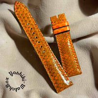 sna-115 シースネイク（ウミヘビ）腕時計ベルト オレンジ (ラグ幅21 mm - バックル幅18 mm)