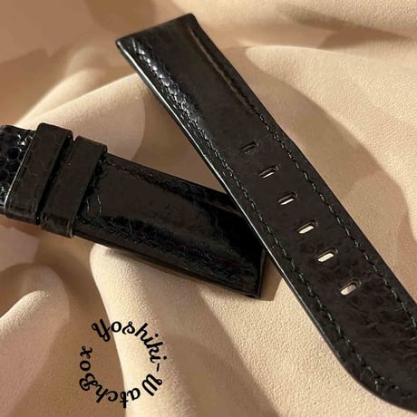 sna-15 シースネイク（ウミヘビ） 腕時計ベルト ブラック (ラグ幅24mm - バックル幅22mm)
