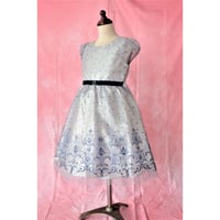 【レンタルドレス】　　　きらきらシルバーに紺刺繍<ドレス丈 74cm>