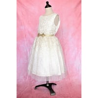 【レンタルドレス】　　　ホワイトゴールドドット　<ドレス丈 76cm>
