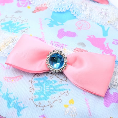 レッスンバッグ  私は毎日プリンセス　アクア