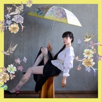 雨傘(長傘)「玄鳥至(つばめきたる)」春の花とつばめ