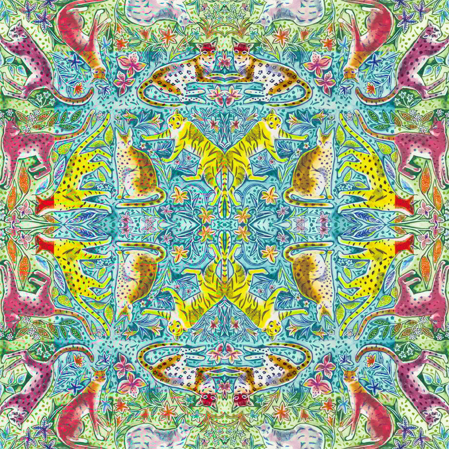 627a10b7e3bbd172cc3a03a5