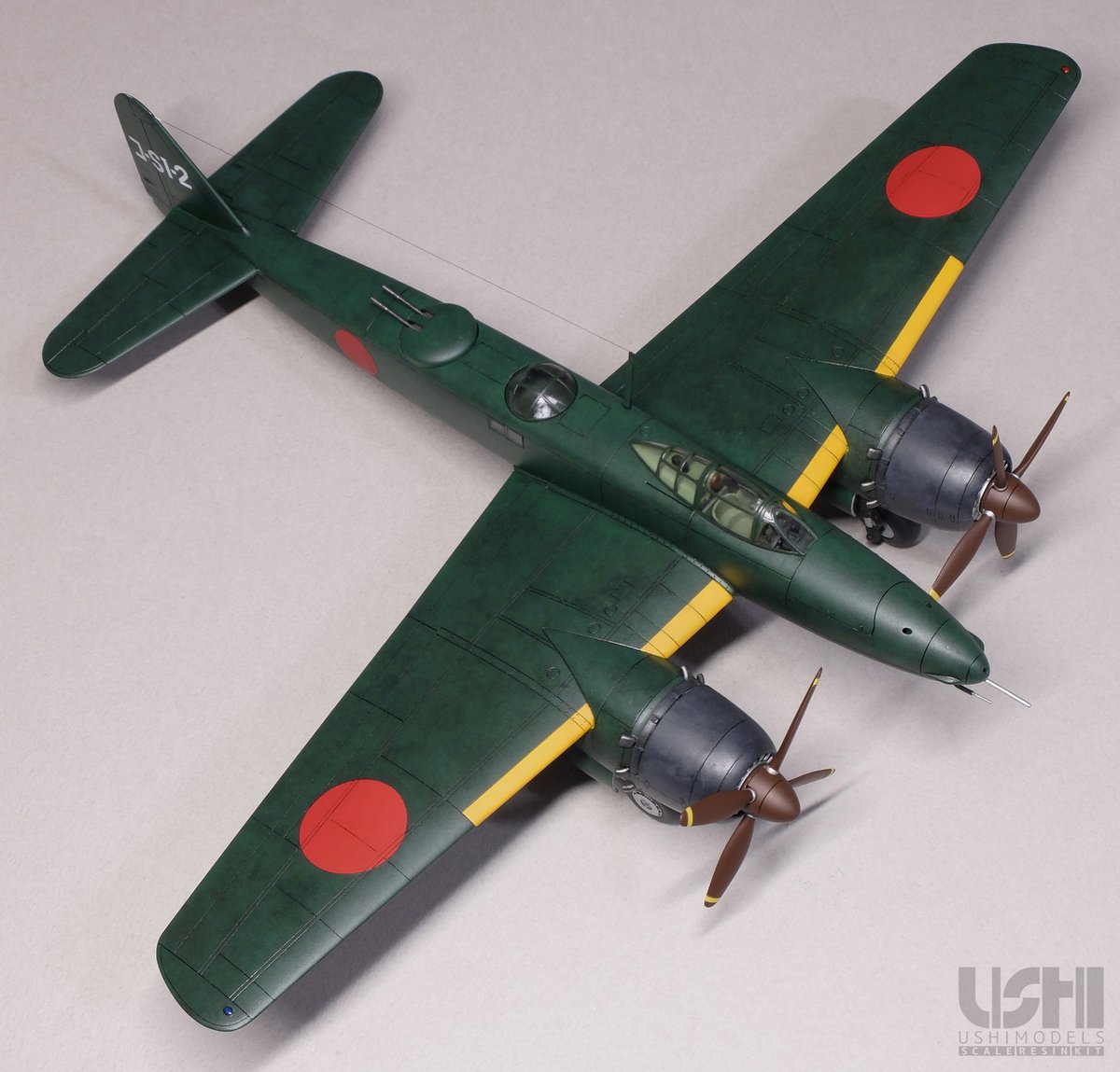 1/72 日本海軍 愛知 S1A 電光 | ウシモデル | 試作航空機レジンキット