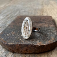 antique oval dial ring "WALTHAM" #14【K0972】