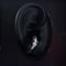 【new!!】CLOPOA BLACK 2way date earcuff&ring (デイトカフ) 14号【K0976】