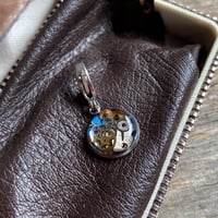 【K0641】 CLOPOA standard charm skyblue