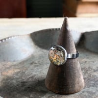 CLOPOA round petit ring silver #14【K0587】