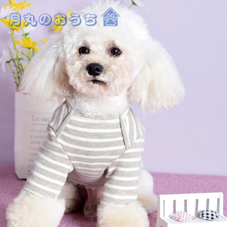 61c2cfa57d278d58398518d6