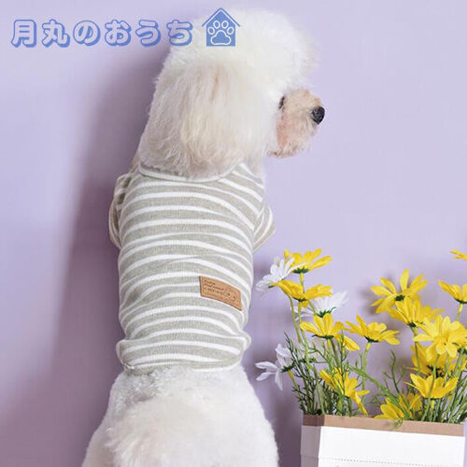 61c2cfa57d278d58398518d6