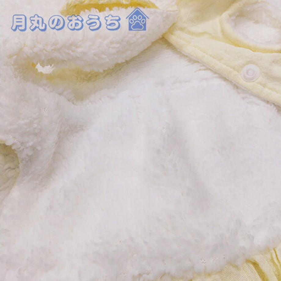 61caaa17d26fa5362f0fb208