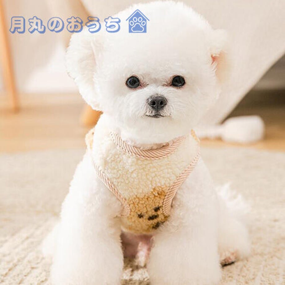 61c41b423475ed33679ba132