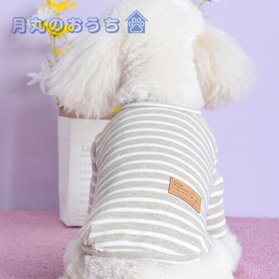 61c2cfa57d278d58398518d6