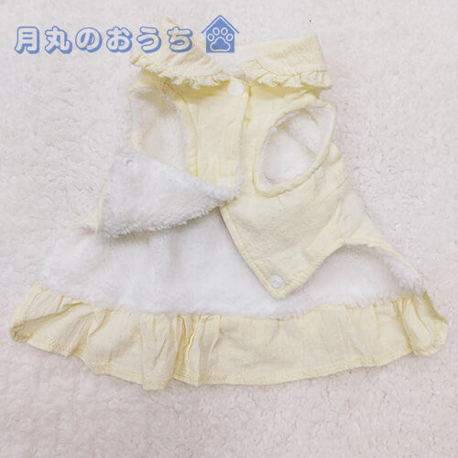61caaa17d26fa5362f0fb208