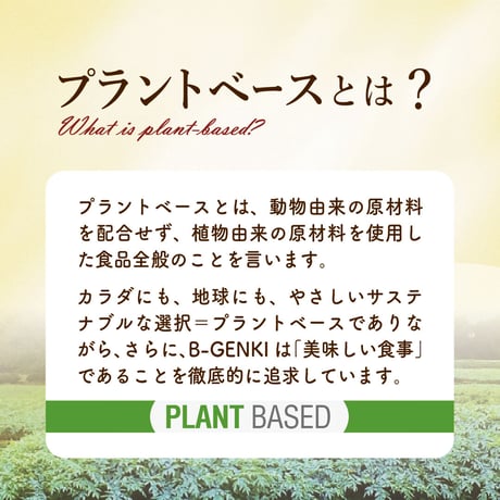 MOCHIKON 抹茶