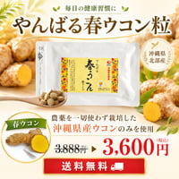 やんばる春ウコン粒タイプ 500粒【単品～10個セット】