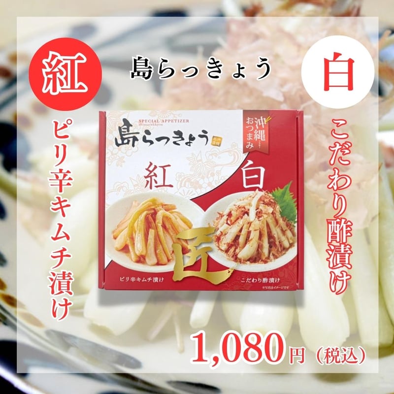 島らっきょう【紅・白】 | 沖縄特産品南国市場
