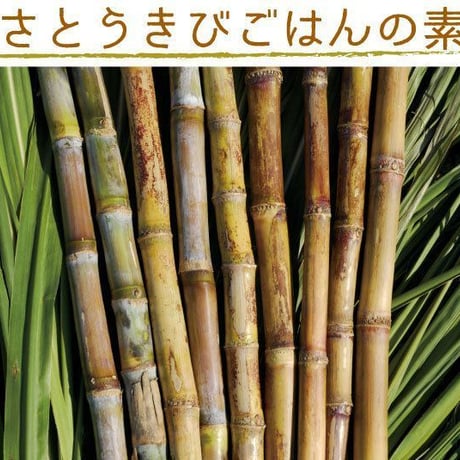 さとうきびごはんの素 60g【単品/3個セット】