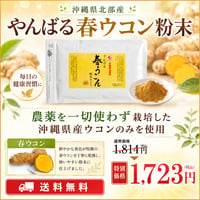 やんばる春ウコン粉末タイプ 100g【単品～20個セット】