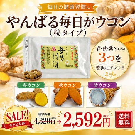 【SALE】やんばる毎日ウコン3種粒タイプ 500粒【単品～10個セット】