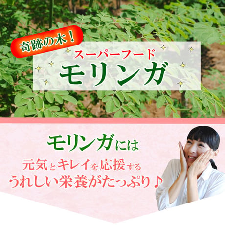 モリンガ粒＆ネオ（Neo）お試しセット