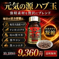 元気の源 ハブ玉【単品～5個セット】