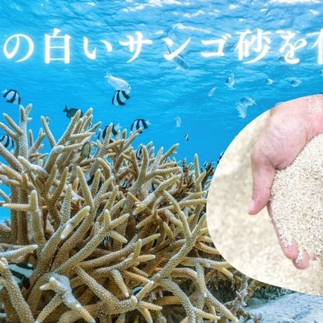 琉球すっぽん粉末【単品～10個セット】