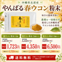 【SALE】やんばる春ウコン粉末タイプ 100g【単品～20個セット】