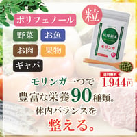 モリンガ粒（サプリメント）300粒入り【単品～20個セット】
