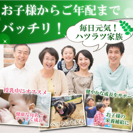 モリンガ粒（サプリメント）300粒入り【単品～20個セット】