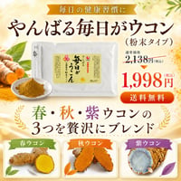 やんばる毎日ウコン3種粉末タイプ 100g【単品～20個セット】